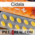 Cidala new05